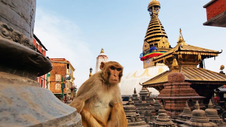 Kathmandu : Swambhunath & Durbar Square Guided Half Day Tour - Key points to know before you book