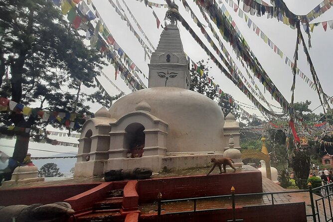 Kathmandu Top 4 or 2 UNESCO World Heritage Sites Day Tour - Boudhanath and the great white stupa