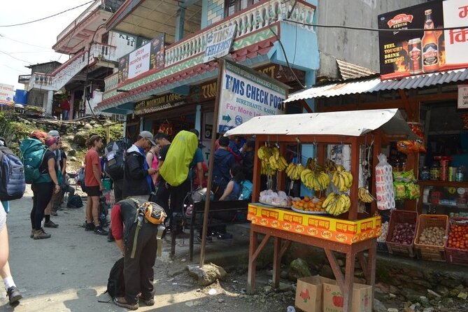 Kathmandu Walking Tour - Why the private format matters