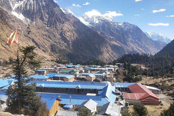 Manaslu Trekking - Forests return on the way to Chamje