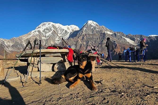 Mardi Himal Trek - Day 6: The main goal, Mardi Himal Base Camp