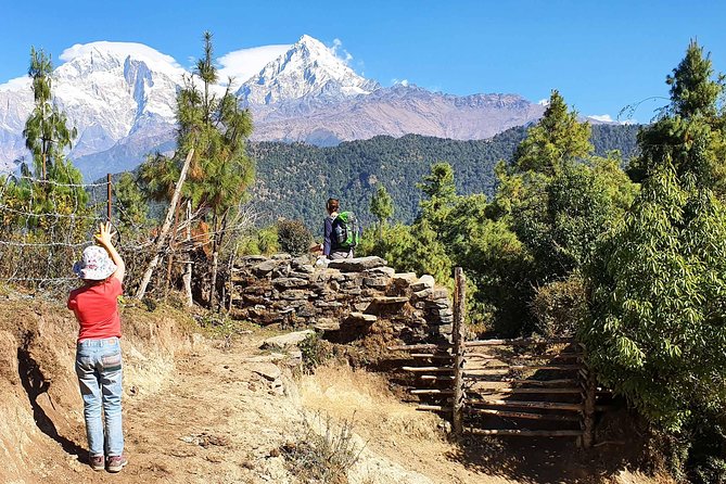 Mohare Danda Trek - Day 4: Ramche, forests, and Nagi Village