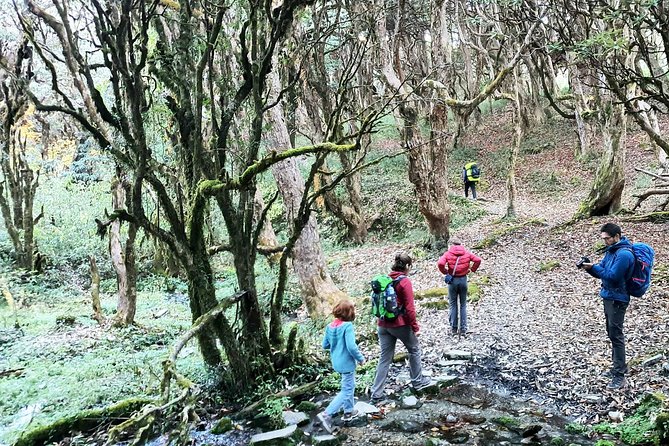 Mohare Danda Trek - Day 5: Climbing from Nagi toward Mohare Danda
