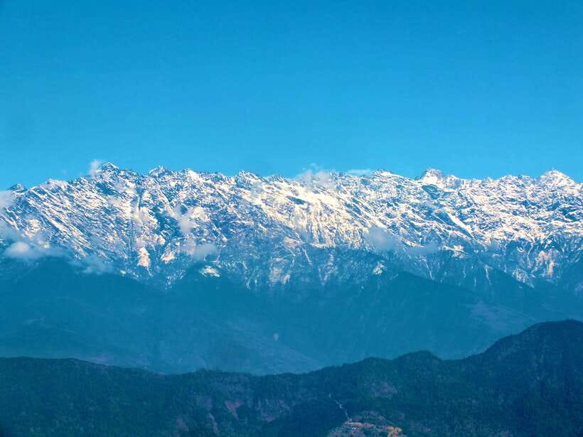Nagarjun Jamacho Day Hike – Stunning Valley Himalayan Views - The uphill trail through pine and rhododendron