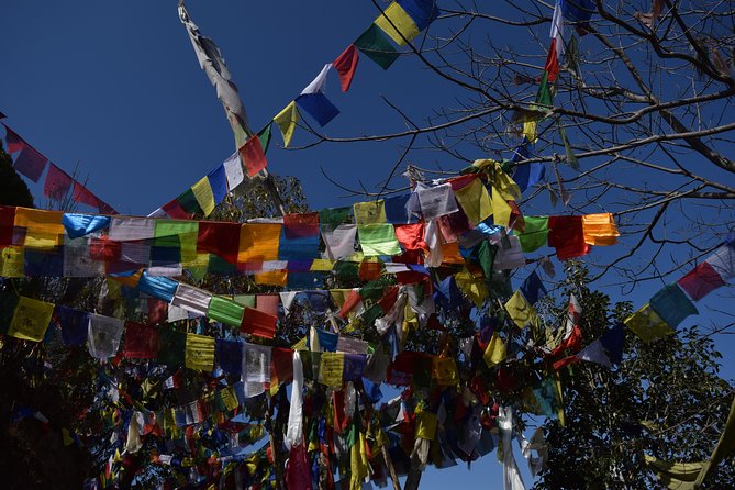 Namo Buddha and Thrangu Tashi Yangtse Monastery Half-Day Tour - Starting at Black Olives Cafe at 11:30 am
