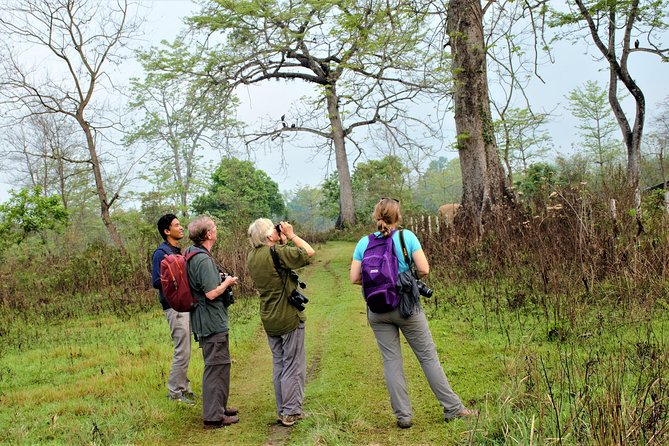 Nepal Birding - Walking, timing, and the shape of the day
