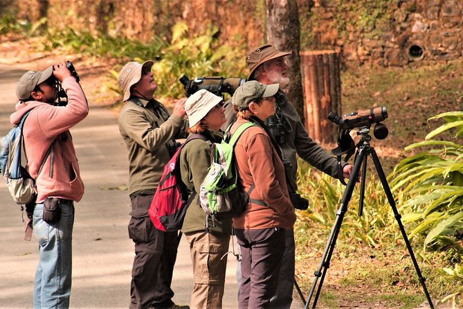 Nepal Birding - Why the guide matters so much