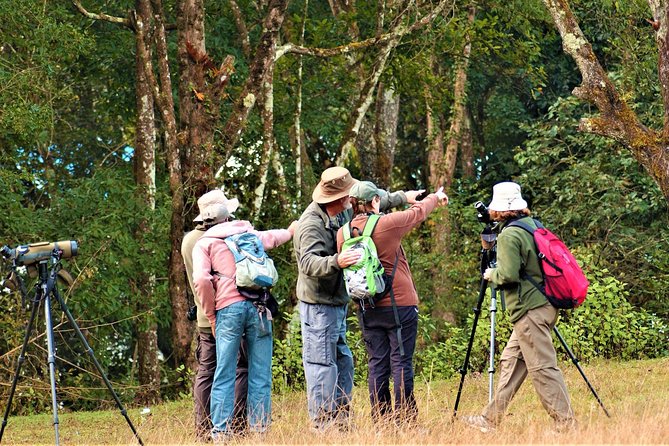 Nepal Birding - The value of $225 per person