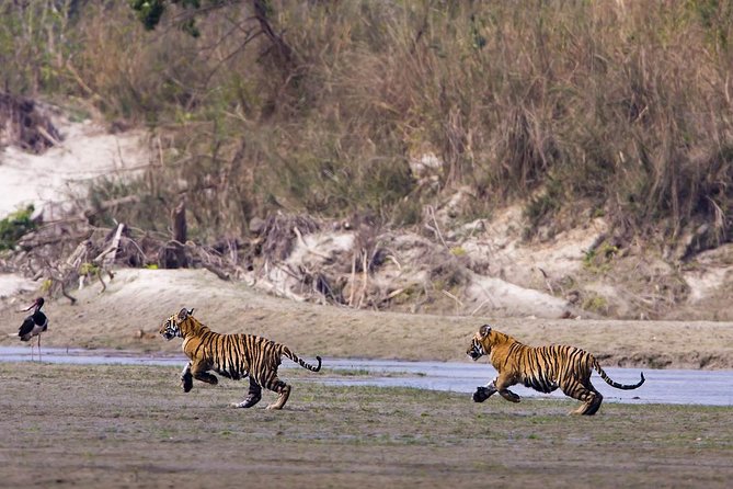 Nepal Classic Tour -12 Days - Why this route works for a first visit
