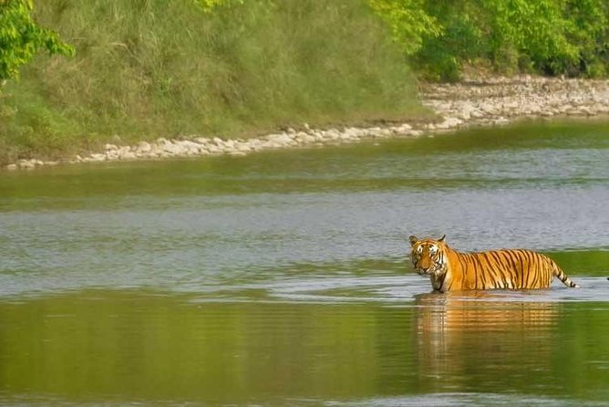 Nepal Classic Tour -12 Days - What the $1,450 price really covers