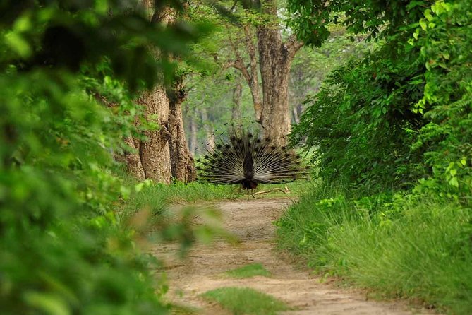 Nepal Classic Tour -12 Days - Who should book this Nepal itinerary?