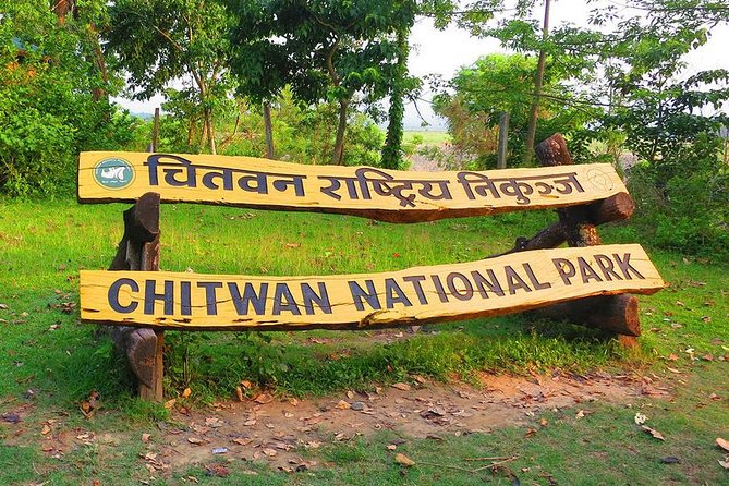 Nepal in Luxury: Kathmandu, Chitwan & Pokhara Escape – 8 Days - Day 4: Safari time in Chitwan National Park