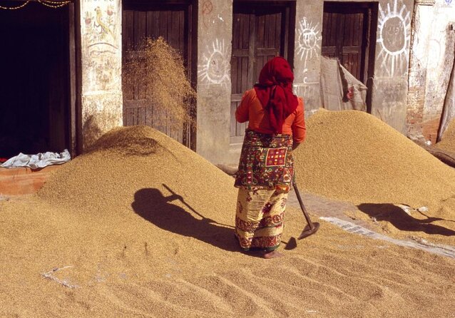 Nepali Cooking training & Cultural Homestay Experience - Key points at a glance