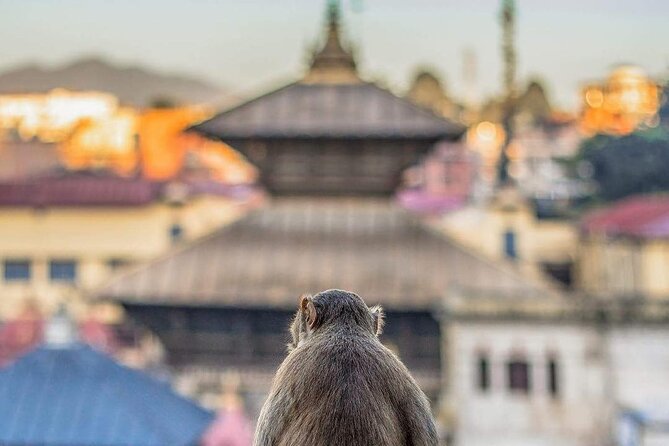 PashupatiNath and BoudhaNath - Private/Small Group - Shiva stories at Mrigasthali Deer Park