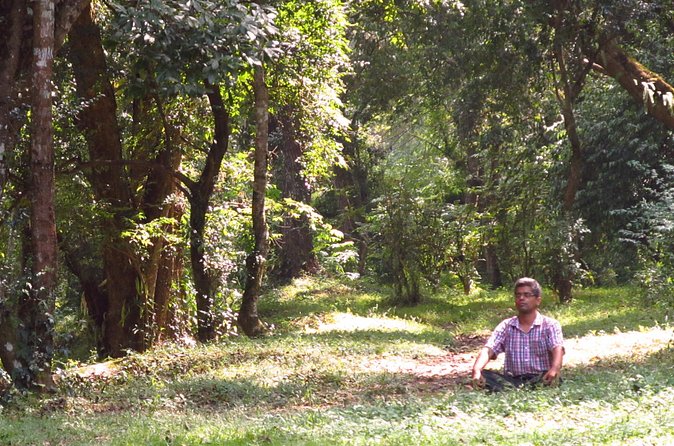 Pharping Asura Cave Meditation Tour - What the $60 Price Really Includes