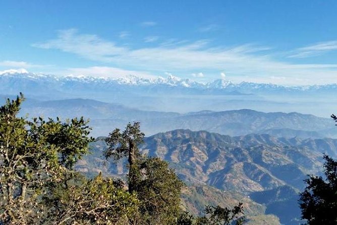 Phulchoki bird-watching tour - Reaching the Phulchoki summit near 2,800 meters