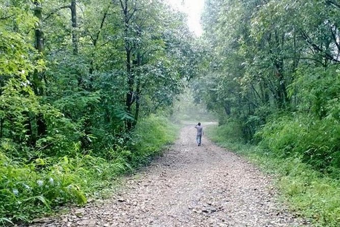 Phulchoki bird-watching tour - Godawari and the Naudhara trailhead