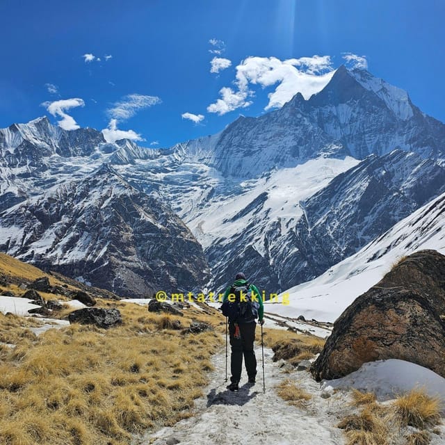 Pokhara: 5-Day Annapurna Base Camp (ABC) Trek - Day 4: Annapurna Base Camp down to Bamboo