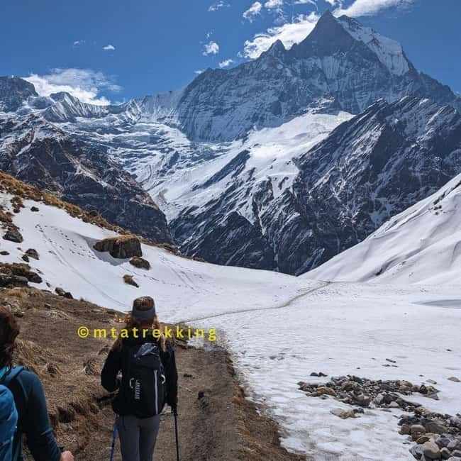 Pokhara: 5-Day Annapurna Base Camp (ABC) Trek - Guides, pacing, and organization