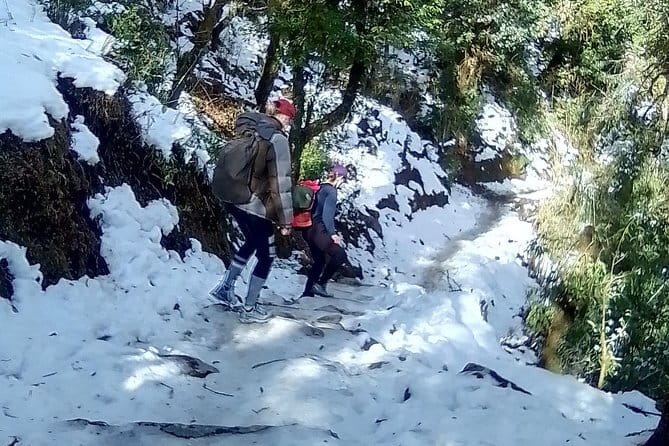 Poon Hill Trek package - Day five: Ghandruk downhill to Birethanti, then Pokhara