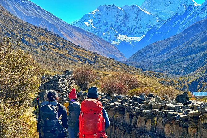 Private 8 - Day Langtang Trekking - Day 5: Kyanjin Ri and the high valley