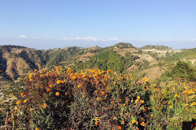 Private Day Tour - Sacred Journey to Namo Buddha - Who Will Get The Most From This Visit