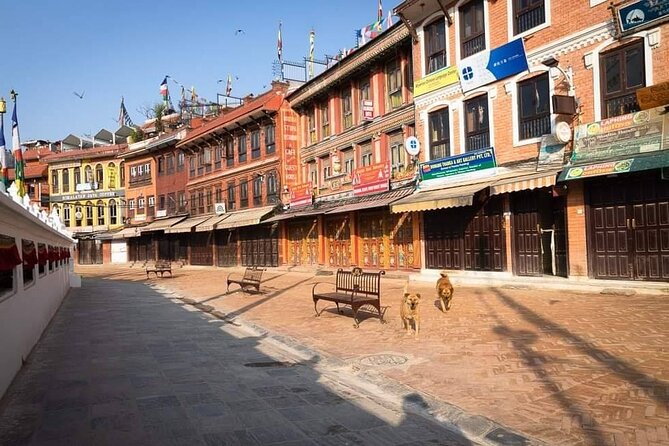 Private Tour of 4 UNESCO Heritage Sites in Kathmandu by Car - What the private car changes