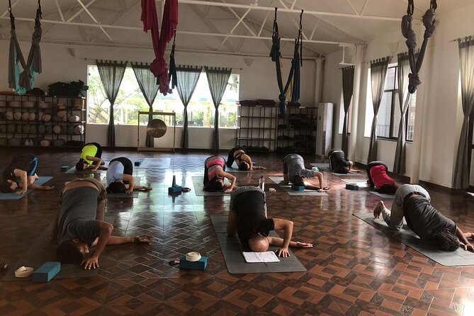 Regular Yoga for all levels of practitioners in Kathmandu - Avata’s spa, garden, restaurant, and wellness store