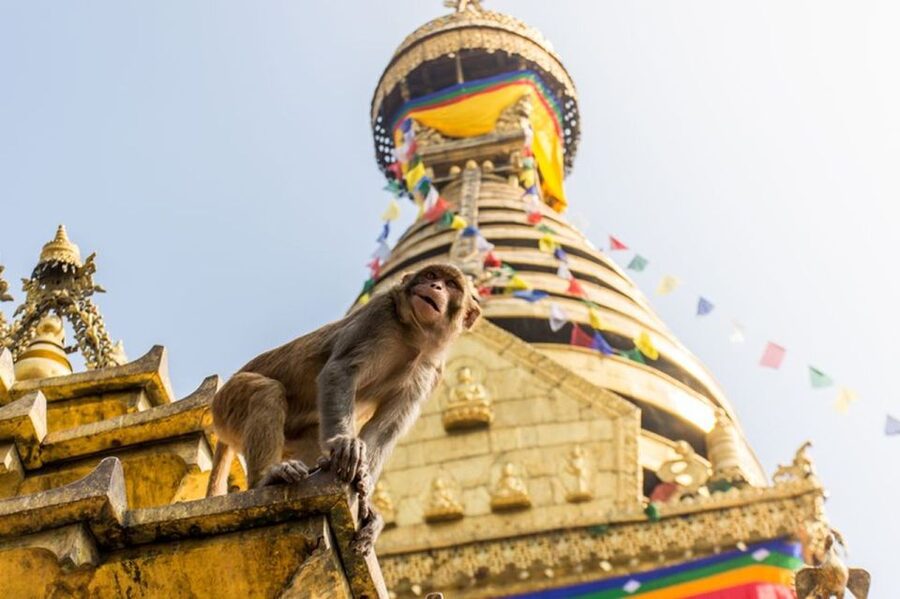 Spiritual Nepal: Expert insight into Multifaith Journey - Dress, manners, and practical preparation
