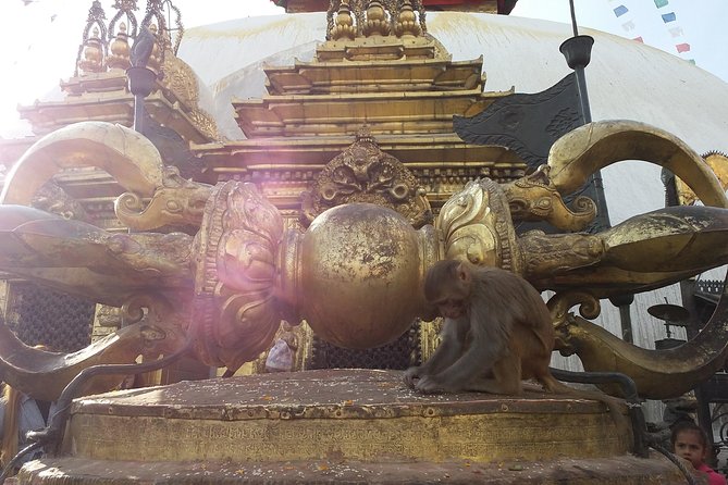 Walking tour of Kathmandu with awesome local guides - Kathmandu Durbar Square: palaces, temples, and a busy historic center