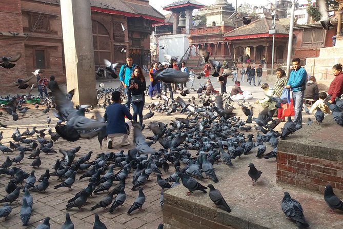 Walking tour of Kathmandu with awesome local guides - Timing, meeting point, and walking demands